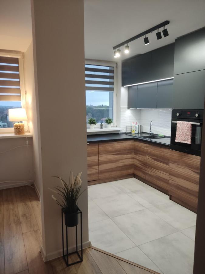Apartament Z Widokiem Na Miasto Γκλίβιτσε Εξωτερικό φωτογραφία